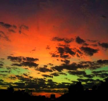 “West Nest” – Daniel Allen – Photography - trumanjacksonphoto@gmail.com