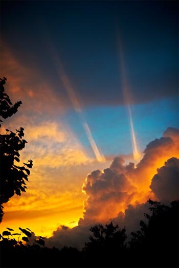 Honorable Mention (Digital & Photography) - “High Beams” – RJ Lucas – Photography – Size & Price Upon Request - www.lucas.photography