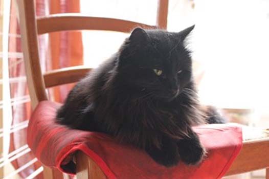 “Peace in the Winter” - Gerald Mounier - Photography - http://geraldmounier.wixsite.com/creations