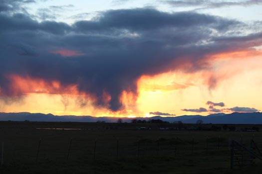 “Sunset Praire” – Sherry Lupo – Photography – Size & Price Upon Request - elysians@me.com