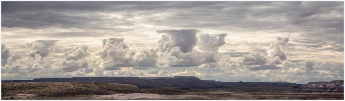 “In the Beginning” - Lucille van Ommering - Dye-Based Archival Digital Print, 19” x 6” - $325 - lvo1@sbcglobal.net