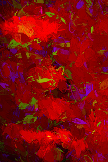 “Spring” – August Naude - Print on Canvas - 24" x 36" - $975 - www.augustnaude.com