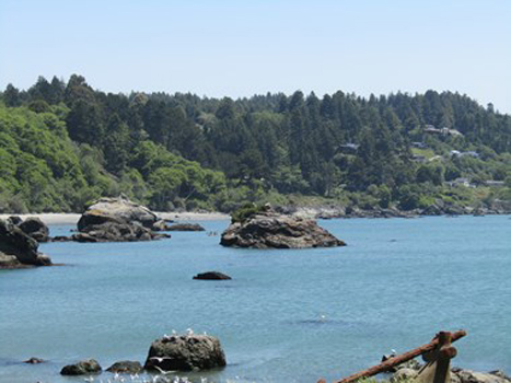 “Trinidad, CA” - Tracey Chaykin - Photography - 8" x 10" – NFS - tatthebrat@gmail.com