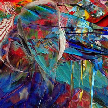 “Parrots” - Evelyn Espinoza - Photo Montage - 20" x 20" - $425 - www.evelyncurryart.com