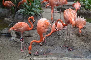 Digital & Photography Winner - “Color Matching” Tommy Crane Digital Photography 13” x 19” $150