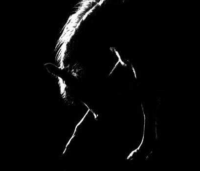 “Namaste” - Tempest Donnelly – Digital Photography - tdonel@msn.com