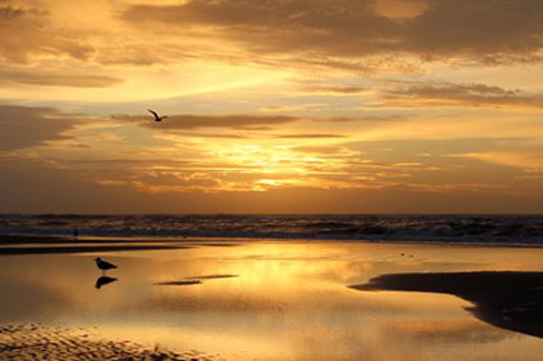 “Promise II” - Cindy Bitar - Digital Photograph on Canvas - 20" x 30" - $500 www.cindybitar.com