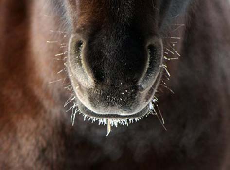 “Prana” - Tempest Donnelly – Digital Photography - tdonel@msn.com