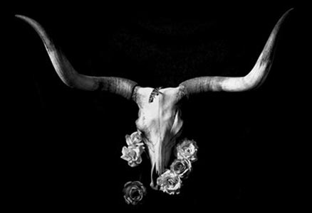 3rd Place (Digital & Photography) - “GOK SERIES LONGHORN II” - Trudy L Waterman – Digital Photography – 20” x 30” - $500 - moreorless@threeriver.net