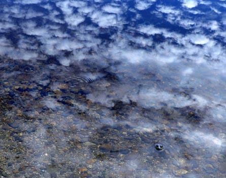 “Which Way is Up” - Peter Lemiska - Photograph Printed on Metal - 11"x 14" - $180 - plemis2@hotmail.com