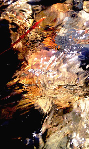 “Wild in the Deep” - E Bee Bantug - Photographic Art - 27" x 45" - $1,500 - www.lightexpressionist.com