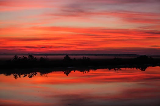 “Sunrise on the Harriet Tubman Bridge” – Brad Ware – Photography - 24” x 48” - fumigatorsc@aol.com