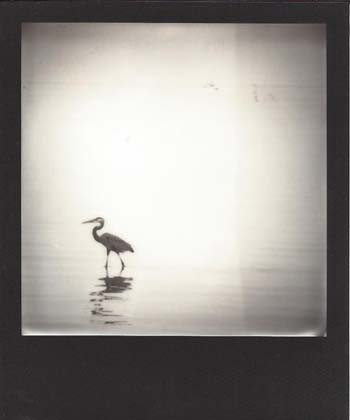 “Texas Coast 05” - Monique Sullivan - Instant Film Photography - 3.4” x 4” – NFS - marktexo@gmail.com