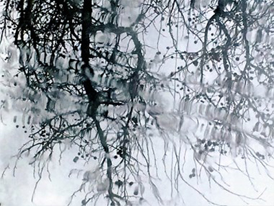 “Wintry day for Sourgums” - E Bee Bantug - Photographic Art - 26" x 29" - $1,500 - www.lightexpressionist.com