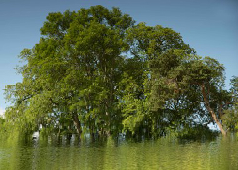 “Reflection, Caledonian Canal, Scotland” – John Moses - Archival Pigment Print - 15" x 11" - $175 - www.johnmosesphotography.com