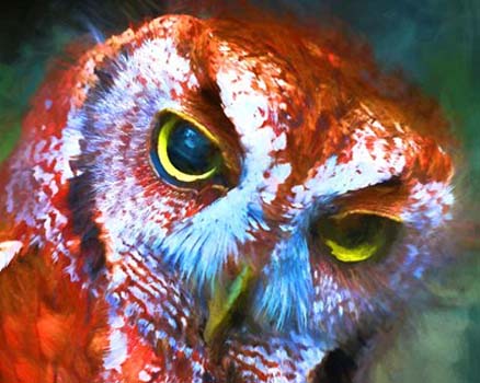 “RED OWL” - dbJR - Photo on Metal - 24” x 20” - $299 - www.greatdanecollectibles.com/