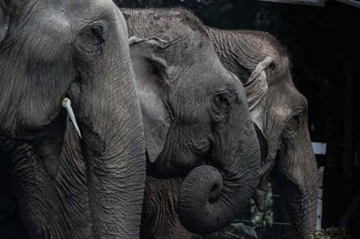 “Feeding Time” – Michael Owens – Photography – 16” x 24” - $300 - www.michaelowens-photography.com