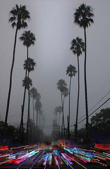 “Palms Pier-Lights” - Stephanie Sydney - Archival Digital Pigment Print - 20" x 13" - $600 - www.stephaniesydney.com