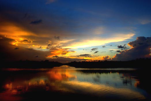 “Everglades Sunset” – Nancy Pallowick – Photography - 20" x 30" - $175 - www.photojourneys.net