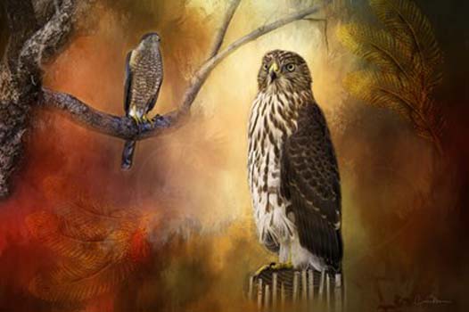 “Red Tail Hawk Watchers” - Codie Moore - Archival Ink on Canvas