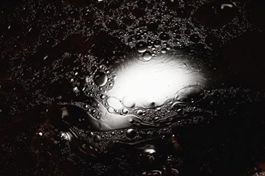 “Lion Flame” - Kristin Prideaux - Digital Photograph - 20” x 30” - $500 - www.argentephoto.com