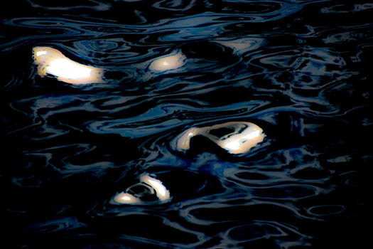 “Eyes on the Water” – Carol Beck – Photography – 11” x 14” - $130 - cabfeb@gmail.com