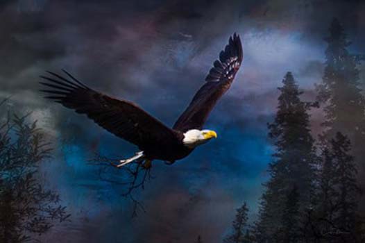 “Eagle with Nesting Materials” - Codie Moore - Archival Ink on Canvas - $645 for up to 36" on canvas (additional size and medium options) - www.codiemoore.com