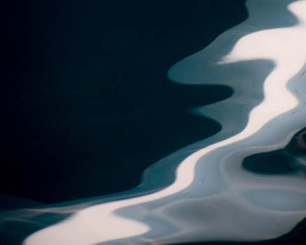 “Bluesy” – Carol Beck – Photography – 11” x 14” - $150 - cabfeb@gmail.com