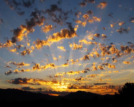 “Morning Of….” – Sylvia Freeman – Digital Photography – 8” x 10” - $350 (unframed) - sylvia.freeman@gmail.com