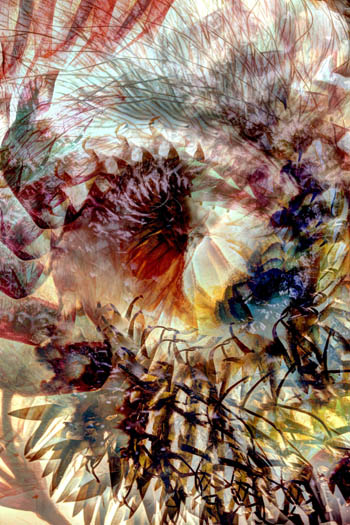 “The Eye” - Frantisek Rerucha - Experimental Photography - 20" x 30"- $120 - frantisek.rerucha@seznam.cz