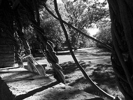 “Diverge” - Anna Millitzer - Digital Photography - 7" x 5.25" – NFS - www.aemillitzer.wixsite.com/annamillitzer