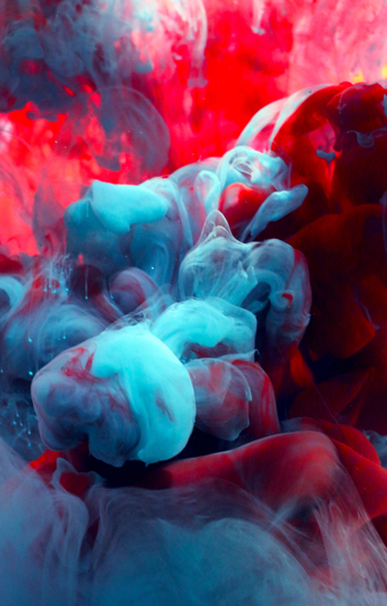 “Untitled” - Megan Conaty – Photography – 20” x 30” - $750 - www.megan-conaty.format.com