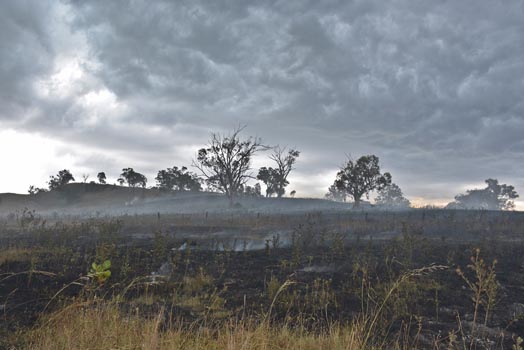 “Lightning Strike” - Catherine Clifford - Digital Photography – 6000px x 4000px - $200 - cathclifford@gmail.com