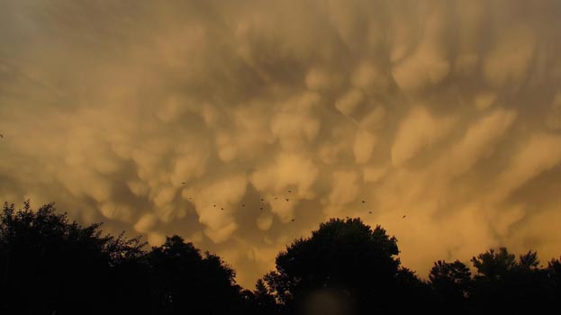 “Clouds with Birds” – Ann Howell - Digital Photography - 3648px × 2048px - $250 - visualqs@hotmail.com