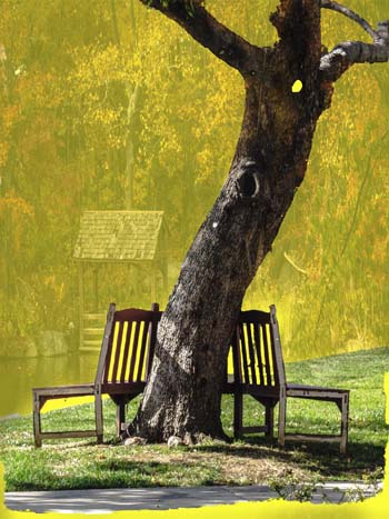 Back to Back - Digital Photography - $350