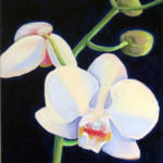 Orchid in Blue, Nancy Camm, Oil on Canvas, 16" x 20", $195.00, artonfire1@gmail.com
