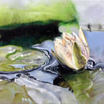 Morning Water Lily, Aisha Ismail, Oil on Canvas, 40cm x 50cm, NFS, http://www.aishaismail.com