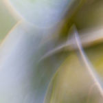 Translucent Dreams – 2553, Gar Benedick, Original Photograph, 20" x 30", $350.00, http://www.garbenedick.com