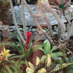 Locus Amoenus III, Rebecca Ebben, Digital Scan of Color Film, 3104px X 2058 px, NFS, http://beckyebben.tumblr.com