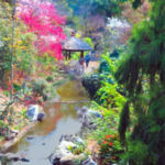 “Japanese Gardens”, Bette Levine, Photo-Digital, NFS, http://betteannphotography.zenfolio.com