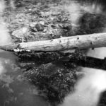 Light Reflections, Turner Smith, Photography, 12” x 19”, $200, http://www.coloradophotographyexperience.com