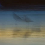 Beyond a Shadow – 6124, Gar Benedick, Photography, 20" x 30", $500, http://www.garbenedick.com