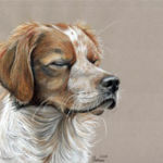 "Mars", Margarita Bourkova, Colored Pencil on Toned Paper, 11.5" x 8.25", $450, http://www.margawart.com/