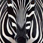 "Zebra", Teal Buehler, Acrylic, 30" x 22", $1,500, http://tealbuehler.blogspot.com/