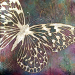 "Beauty in Flight", Daisy Dodge, Acrylic on Canvasboard, 18" x 18", $800, http://www.daisydodgeart.com/