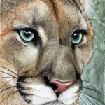 "Alluring", Dionne Ho, Watercolor on Cold Pressed Paper, 7" x 10", $250, luvzhu@gmail.com