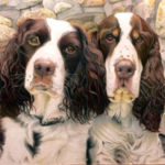 "Abby and Romeo", David Hoque, Colored Pencil on Suede, 14" x 11", $700, Davidhoque@yahoo.com