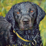 "Megan No.2", Joshua Langley, Oil on Canvas, 16" x 12", NFS, http://www.joshualangleyart.com/