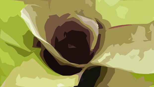 "Bromeliad", Christopher Grieder, Digital Photo Manipulation, 22.25" x 12.5", $450, http://cmgrieder.com/