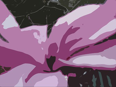 "Tulip Magnolia Blossom", Christopher Grieder, Digital Photo Manipulation, 58.6" x 44", $1,250, http://cmgrieder.com/